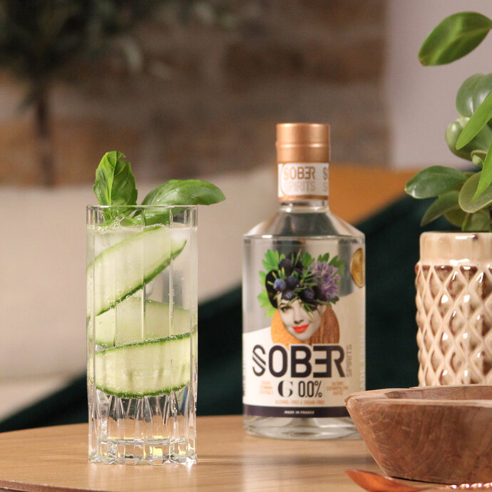 SOBER GIN & TONIC