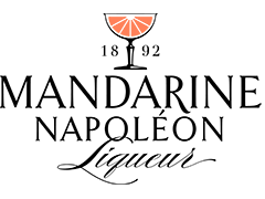 Logo Mandarine Napoleon
